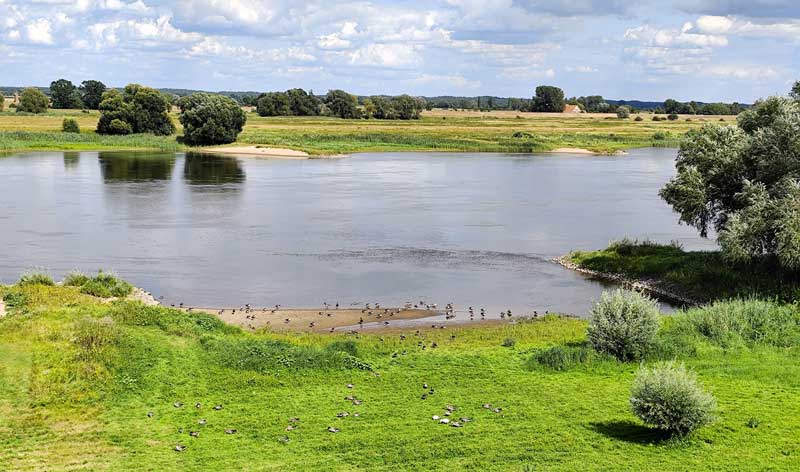 Ein Fluß der durch die grüne Heide zieht