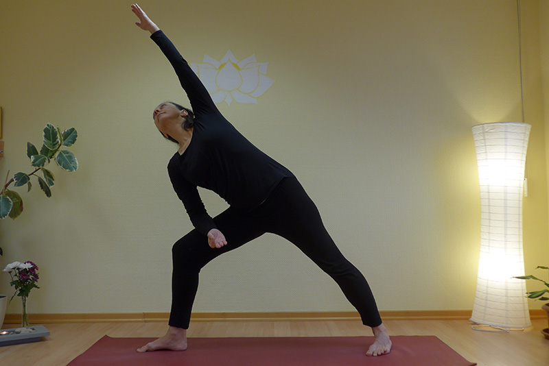 Tihana Buterin, Yogavideo
